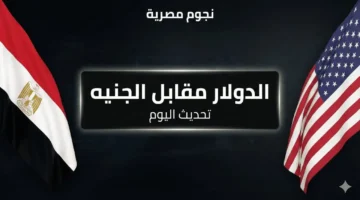 أسعار الدولار أمام الجنيه المصري اليوم الجمعة 5 ديسمبر 2025 واستقرار جديد بالبنوك